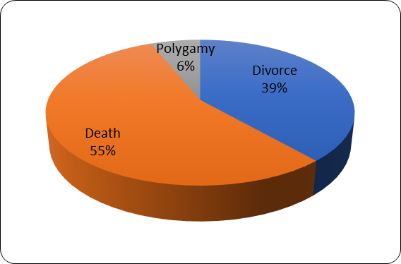 Reasons for Matrimonial Property Claims 2012