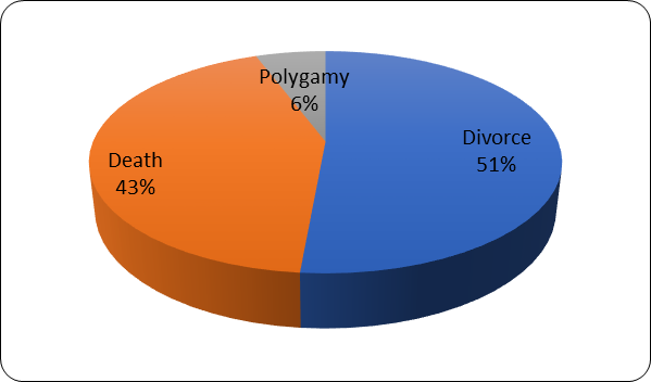 Reasons for Matrimonial Property Claims 2013