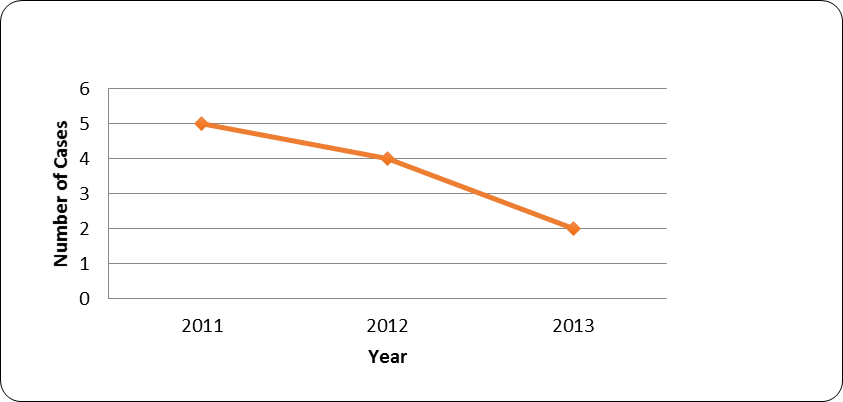 Polygamy Cases in 2011-2013