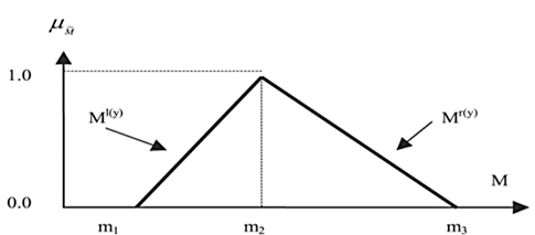 The values of Triangular Fuzzy Number