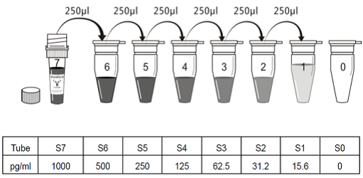 Series of dilution for CD68 marker