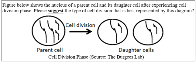 Example of PS2 Questions Regarding Meiosis