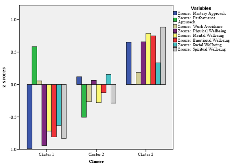 The Three Cluster Profiles identified by Cluster Analysis