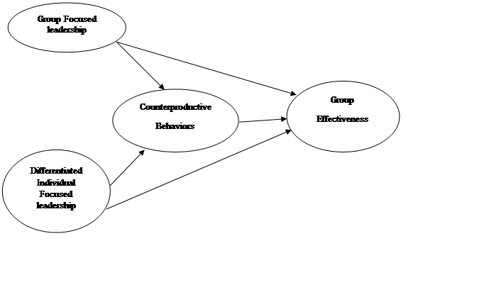 Conceptual Framework