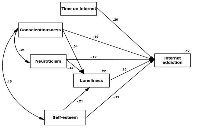 Path analysis for the prediction of Internet addiction