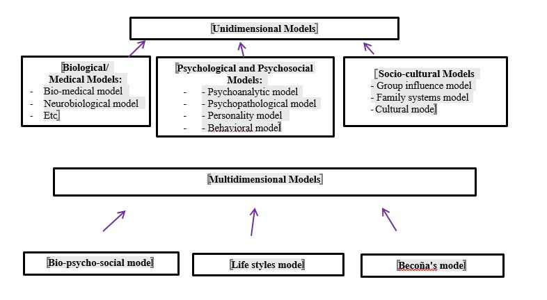 Uni and multidimensional explanatory models of drug use