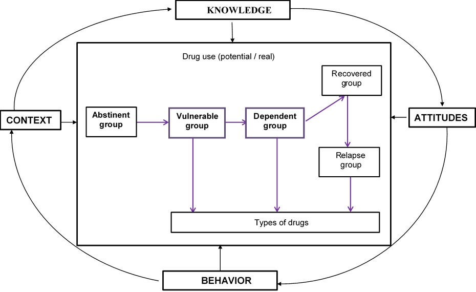 An integrative explanatory model of drug use