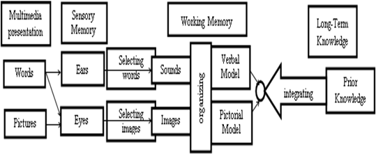 The Cognitive Theory of Multimedia Learning (Mayer, 2012, p. 7)