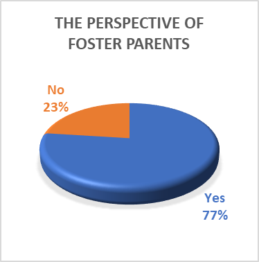Foster partents perspective 