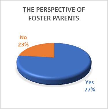 Foster partents perspective