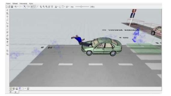The pedestrian flight phase