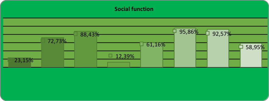 Figure 01. The weight of the indicators specific to the social function