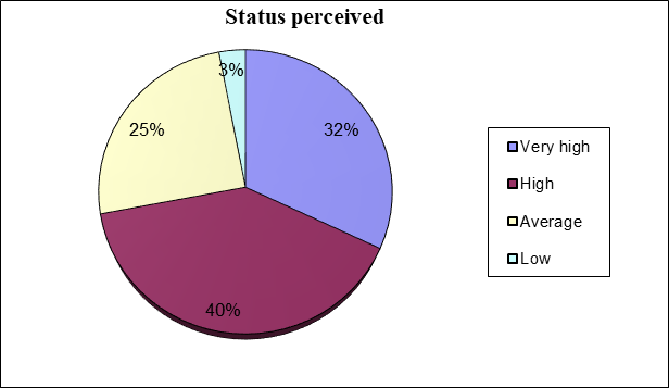 figure 03. Social perception of status
viewed by the school organisation’s members