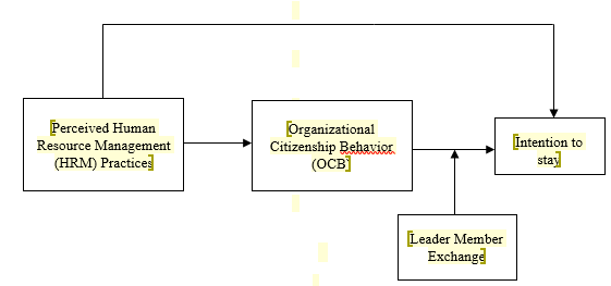 Figure 01. Conceptual Framework