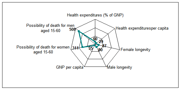 Level of efficiency of the Russian investment activity in capital “health”, % (the highest value – 100%)