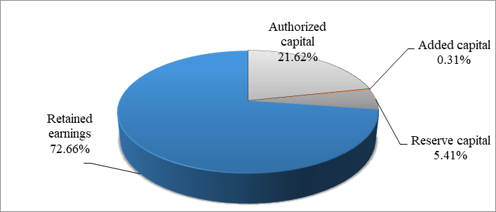 Equity capital capital structure of Mtsensk Farming Company, 2013