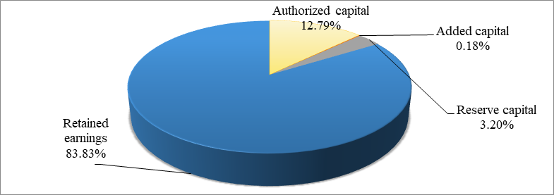 Equity capital capital structure of Mtsensk Farming Company, 2017