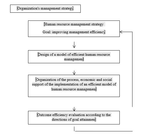 Flowchart of efficiency assessment in an organization's human resource management system