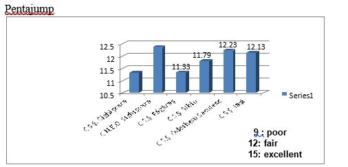 The arithmetic mean of the recorded results in the pentajump test