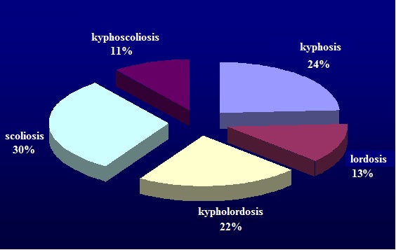 Classification of the spine deficiencies