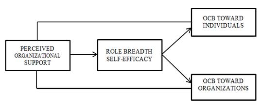 Conceptual framework