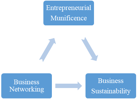 Conceptual Framework for the study