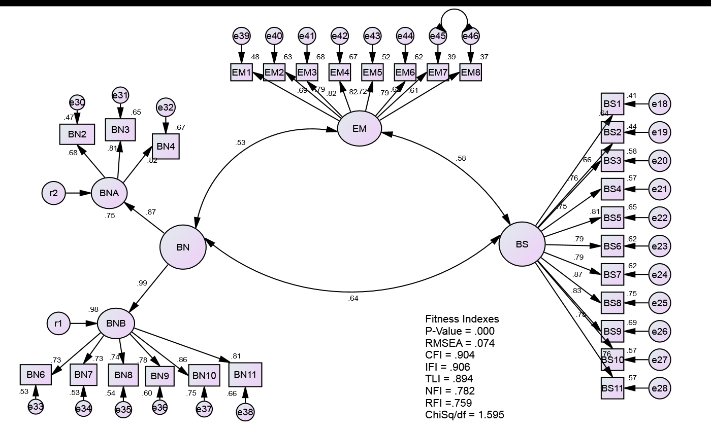 CFA Diagram for the study