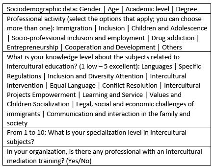 Sample of questions from “Intercultural competency needs of the third sector professionals” survey.