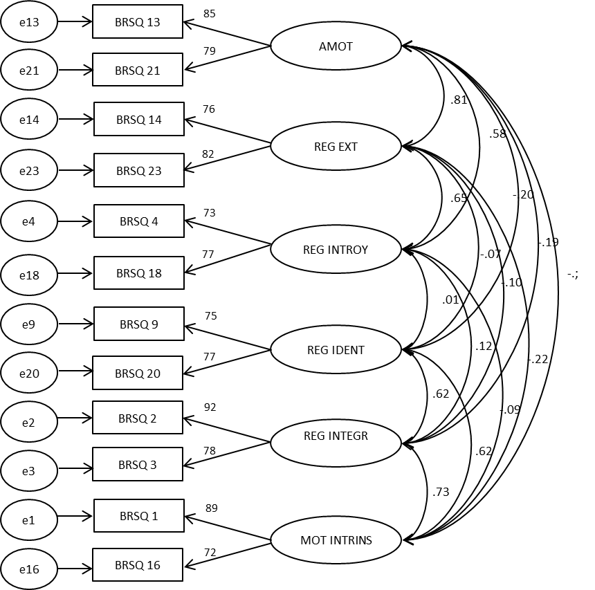 Measurement model, reduced version of the BRSQ