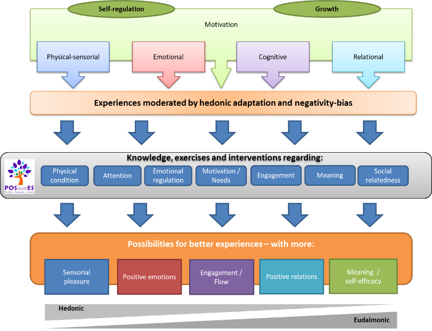 Positive Pedagogy Model. Source: Positivities European Project