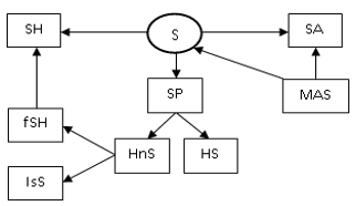 Relationships between the categories Health (S), Environmental Health (SA), Hygiene (SH) and relevant subcategories