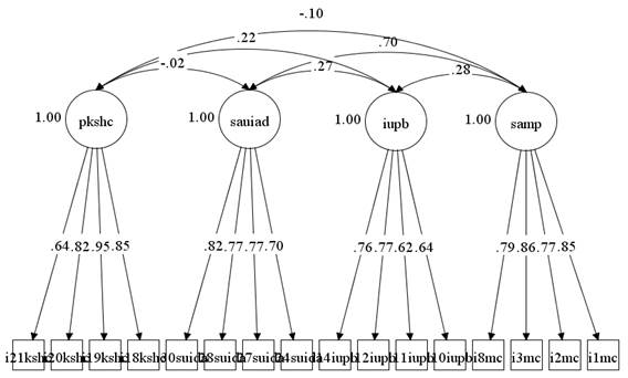 Figure 01. Covariated final AFC model, Sample b.