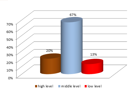 Levels of competence in time for young specialists, (in percentage)