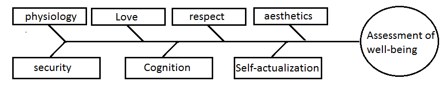 Scheme of private social preferences