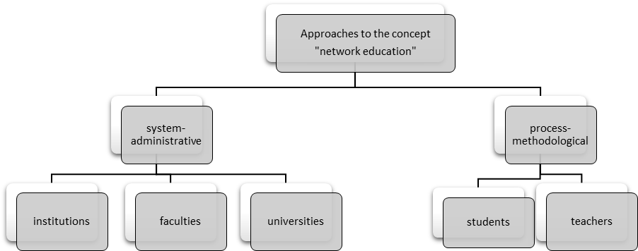 The modern approaches to the concept of network education.