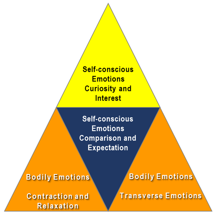 Emotions Tower – bodily emotions and devotedness channel as the basis, Self-conscious emotions and separation channel in between and above: Curiosity points up, Comparison and expectation drags down.