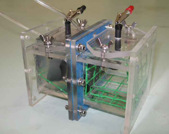 Model of a two-chamber membrane type MFC