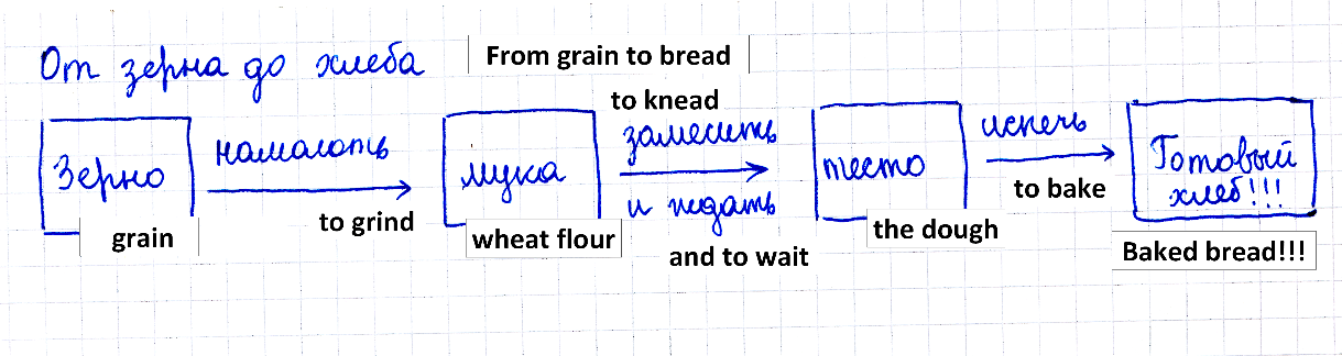 From grain to bread: flowchart drawn by a 6th-grader.