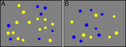 (A) A trial from the Number sense test with higher yellow to blue ratio. There are more
       yellow dots in this trial. (B) A trial from the Number sense test with lower yellow to blue
       ratio. There are more blue dots in this trial.