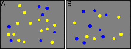 (A) A trial from the Number sense test with higher yellow to blue ratio. There are more
       yellow dots in this trial. (B) A trial from the Number sense test with lower yellow to blue
       ratio. There are more blue dots in this trial.