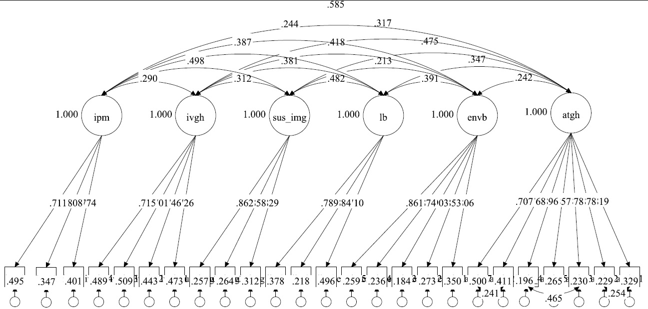 CFA of the Constructs