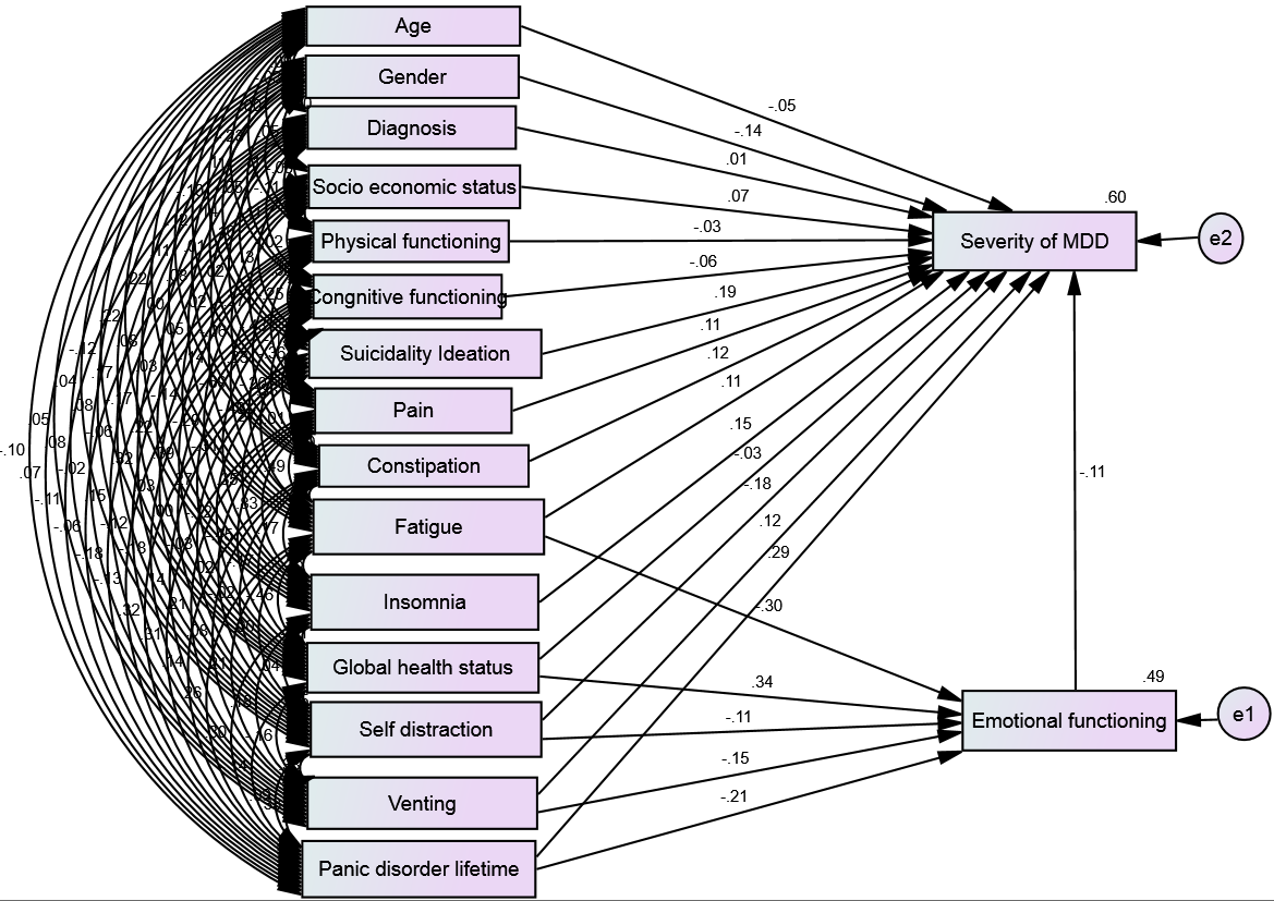 Structural Equation Modeling 1: Depression, Anxiety, Quality of Life and Coping Styles among Neurological Disorder Patients (n=100)