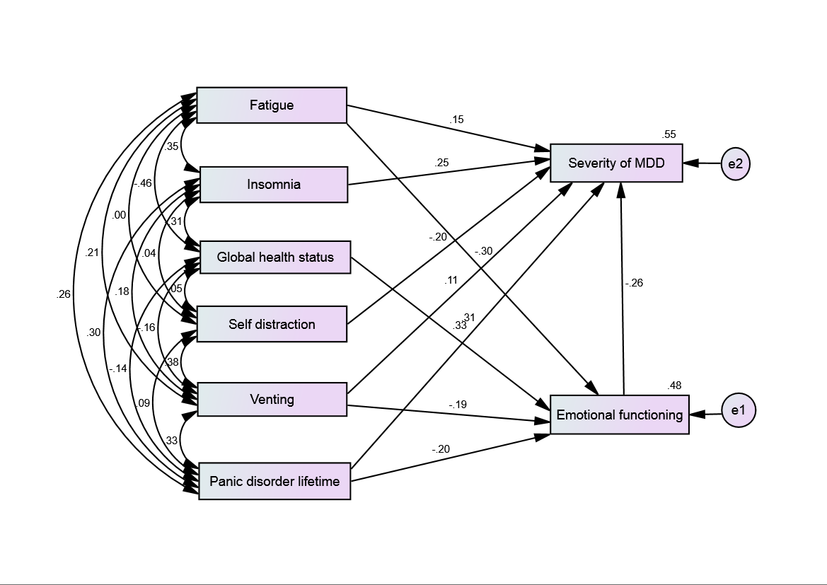 Structural Equation Modeling 2: Depression, Anxiety, Quality of Life and Coping Styles. among Neurological Disorder Patients (n=100)