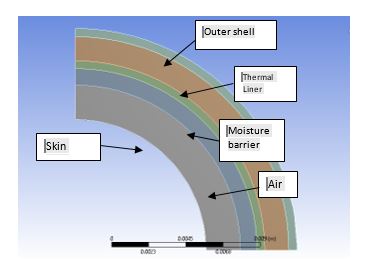 The design of the model 