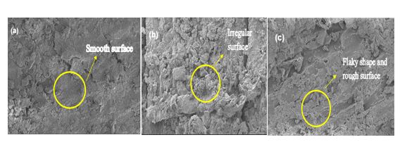 FESEM image of (a) untreated rice husk, (b) 1.0 M of treated rice husk using 1.0 M of citric acid at 60 minutes and (c) 1.0 M of treated rice husk using 1.0 M of hydrochloric acid at 60 minutes at magnification of 5000X