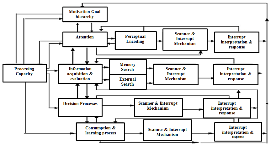 Information Processing Model