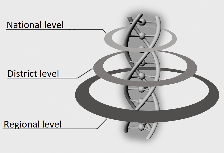 The interaction model of the innovation process actors