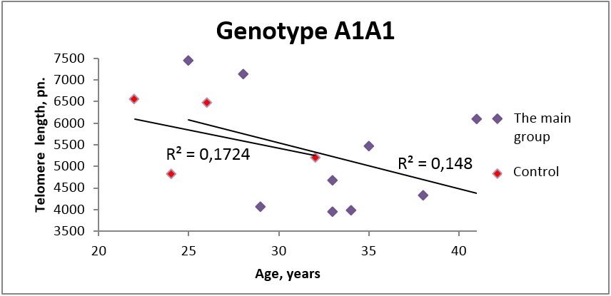 Dependence of telomere lengths on age in carriers of genotype A1A1 on 5-HTR2A gene in the
       main and control groups.