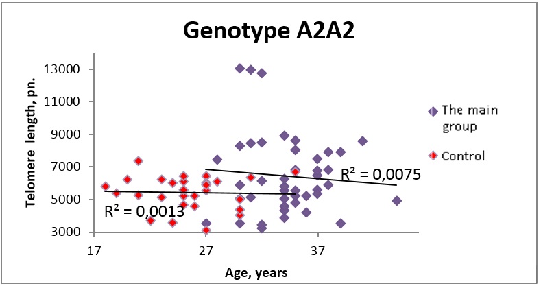 Dependence of telomere lengths on age in carriers of genotype A2A2 on 5-HTR2A gene in the
       main and control groups.