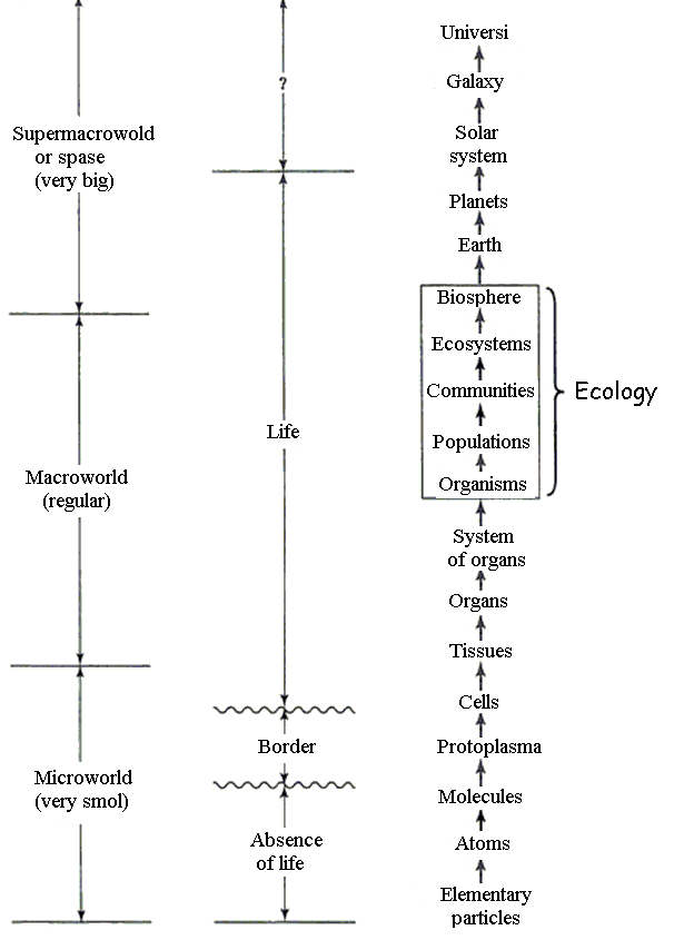 The levels of organisation of matter (by T. Miller)